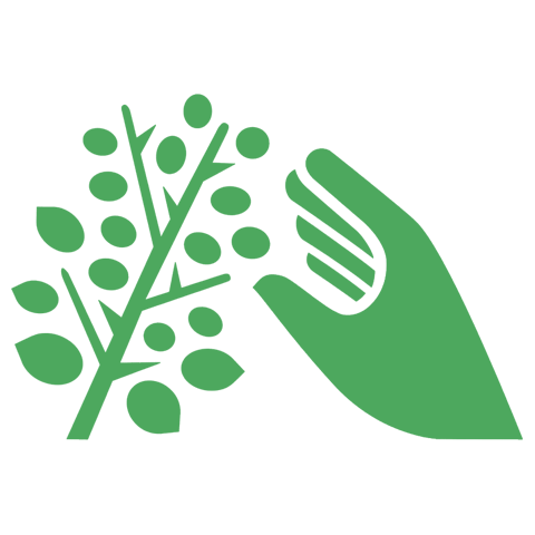 1730121915-freshly20harvested20icon__PID:5ea206e8-c040-4a7f-817a-46517b276980