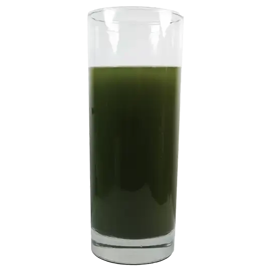 1730179989-green20juice__PID:6e976fe5-baaf-4e79-b113-7d149e622a38